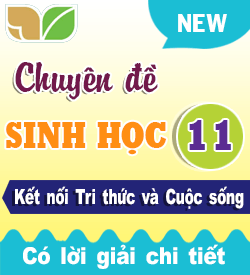 Sinh học 11 Mới (Kết nối tri thức & CS)